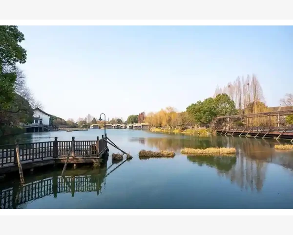 脾胃虚弱，食物停滞：如何调理你的消化系统