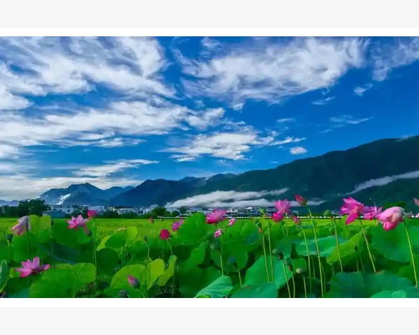 B2B店铺产品标题优化的行业规则